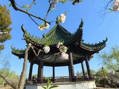 -无锡蠡湖国家湿地公园-蠡园
