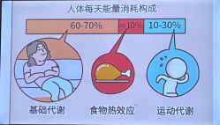 -Fundi张玉珊修身堂·indiba·BTL科技瘦身