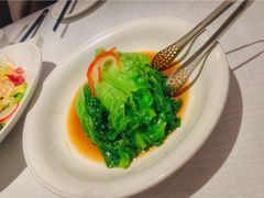 白灼罗马生菜-悦融琥珀·京鲁菜·海味珍品(西单店)