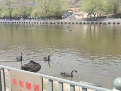 -新疆天山野生动物园