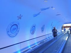 -常州海昌海洋探索馆