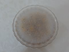 -老周记顺德双皮奶
