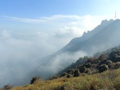 -白草畔自然风景区