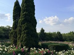 -黑龙江省森林植物园