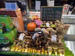 -菌自由丨野生菌火锅特色庭院餐厅(丽江古城店)