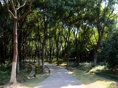 -昆山城市生态森林公园