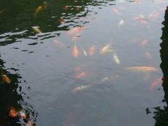 -荆川公园