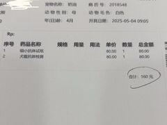 -申普宠物医院·眼科·心内科·影像科(普陀分院)