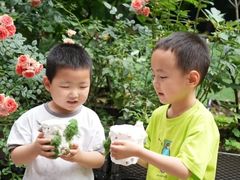 -金豆子幼稚园