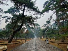-沈阳市东陵公园