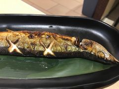秋刀鱼-万岁寿司(蓬江万达店)