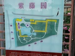 -嘉定紫藤园