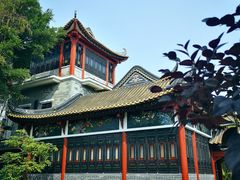 -顺峰山公园