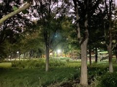 -望湖公园