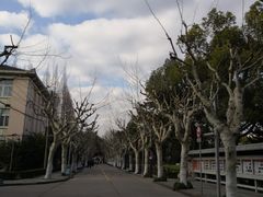 -华东理工大学徐汇校区-图书馆