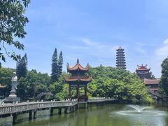 -上海东林寺(金山区)