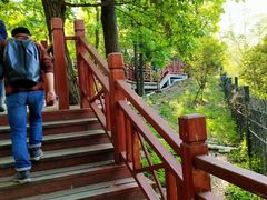 -紫金山山顶公园