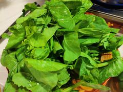 -鲜入围煮花胶鸡海鲜火锅