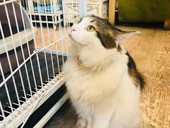 -小时光咖啡馆(北锣鼓巷店)