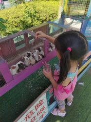 -萌宠亲子动物乐园(槐房万达店)