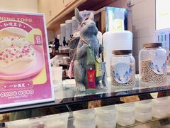 -仙境豆夫(步行街旗舰店)
