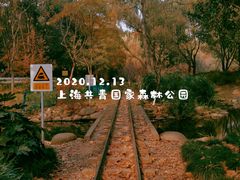 -上海共青森林公园
