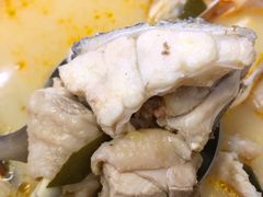 龙胆鱼-派派茶客(金杏花园店)