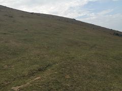 -大姆山草场