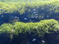 -北京海洋馆