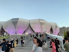 -杭州奥体中心-体育场