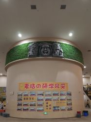 -疯狂的麦咭(长沙店)