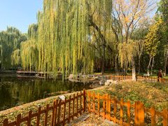 -玲珑塔公园