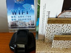 -平湖九龙山庄园圣马可酒店