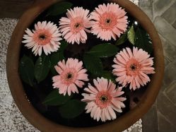 -琦品高端美容SPA私佳美场