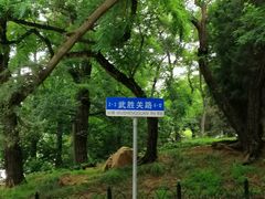 -八大关景区