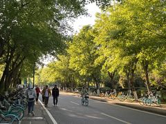 -北京师范大学(珠海校区)