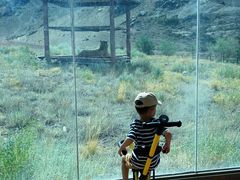 -新疆天山野生动物园