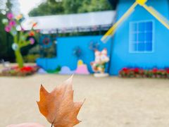 -上海共青森林公园