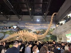 -自贡恐龙博物馆