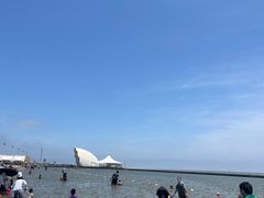 -碧海金沙