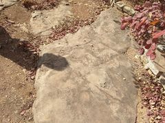 -沕沕水生态风景区