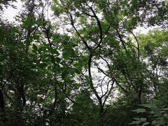 -南京金牛湖风景区