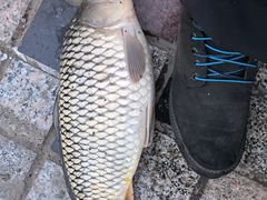 -酷鱼垂钓CLUB(朝阳区博大路店 )