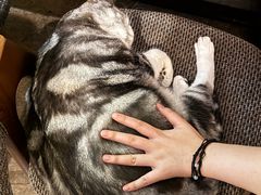 -咖法森林·咖啡  酒吧(天河店)