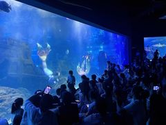 -江和美海洋公园