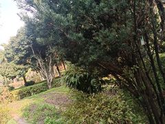-故乡缘·香格里拉山庄(冷竹路店)