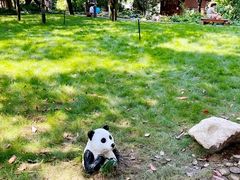 -成都市活水公园