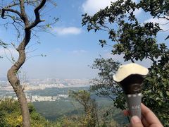 -紫金山山顶公园