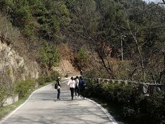 -木兰云雾山
