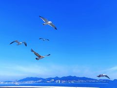 -刘公岛景区